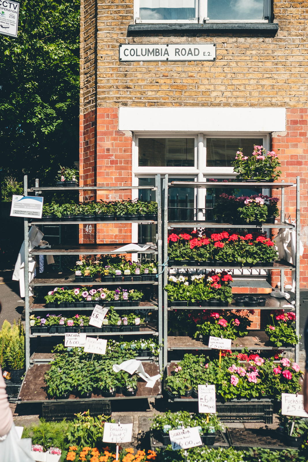 Columbia Road Flower Market London Corner Stall