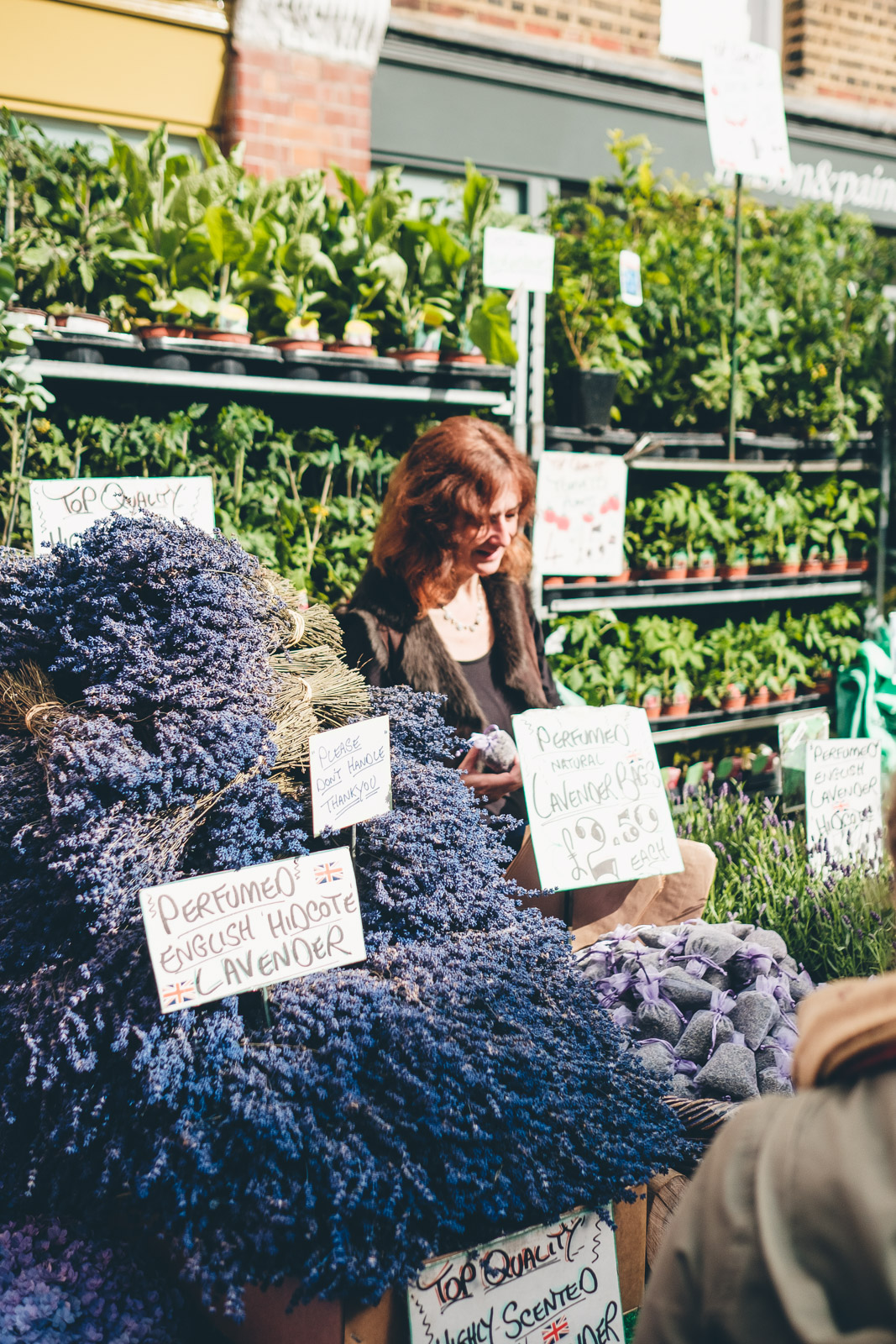 Columbia Road Flower Market London Lavender