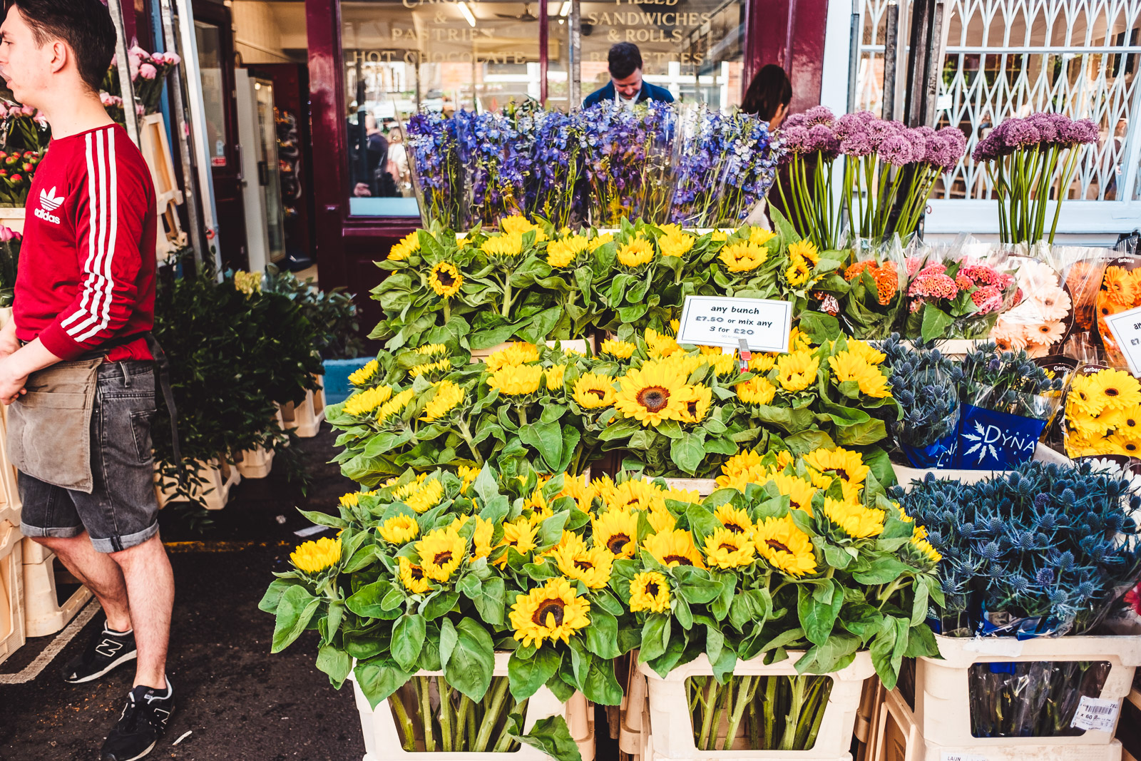 Columbia Road Flower Market London Sunflowers