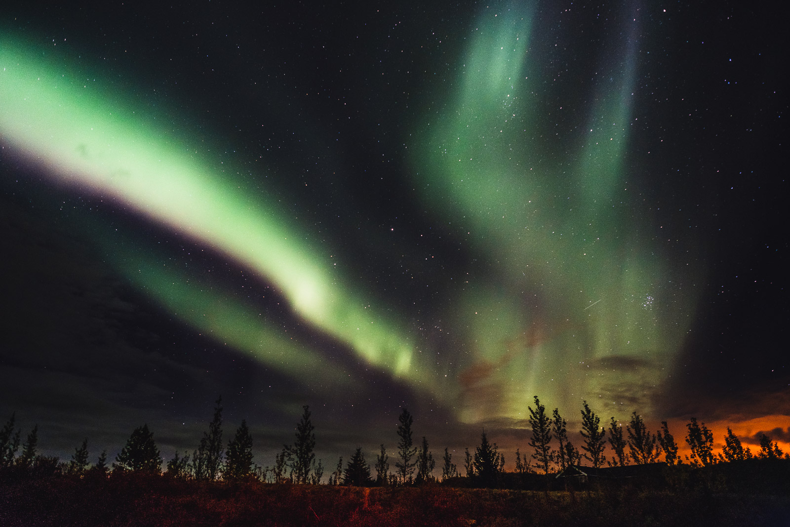 Northern Lights Iceland Tree Silhouette
